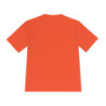 The Demi-Titan (Swo') Moisture Wicking Tee